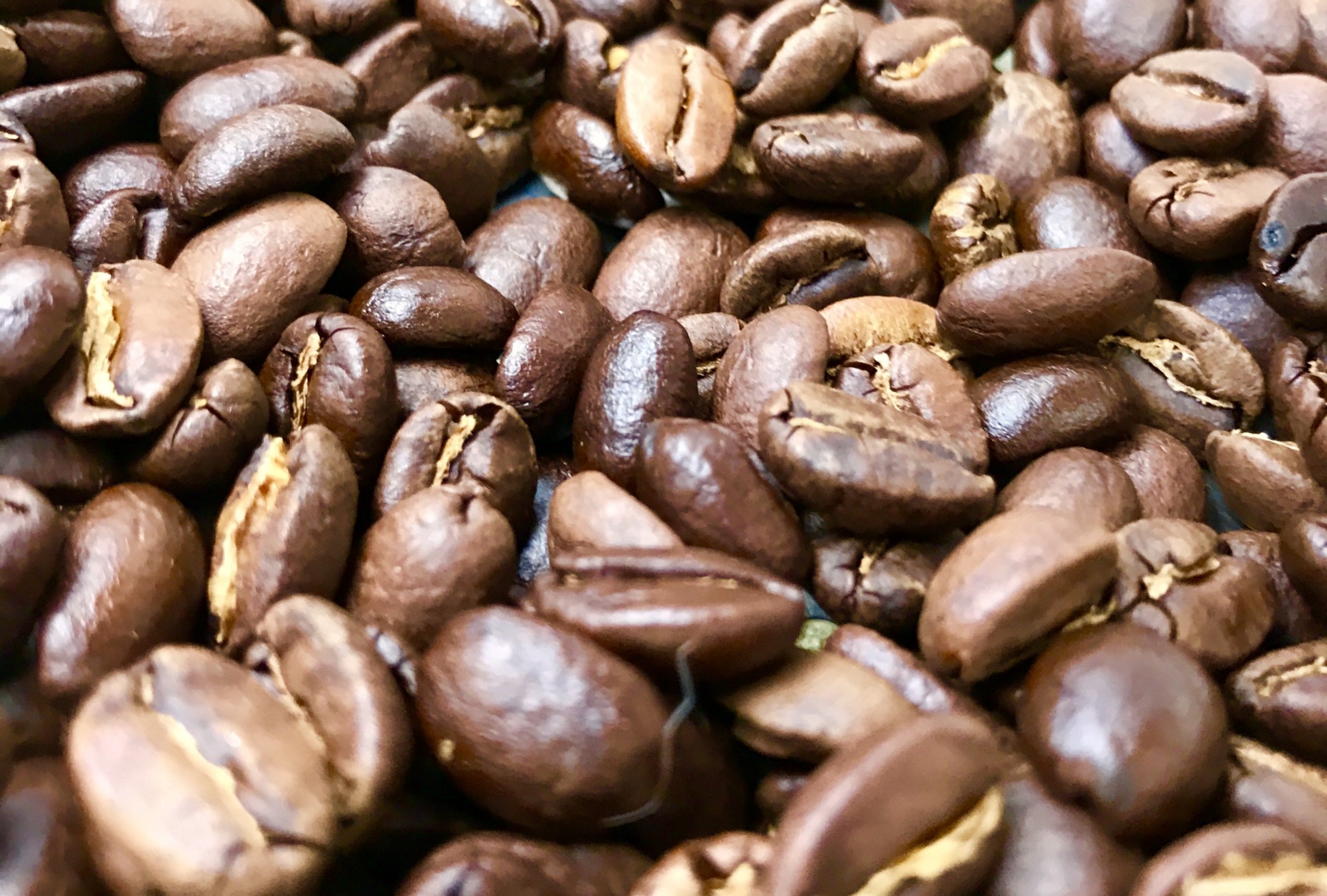 Freshly roasted coffee beans from central Mexico.