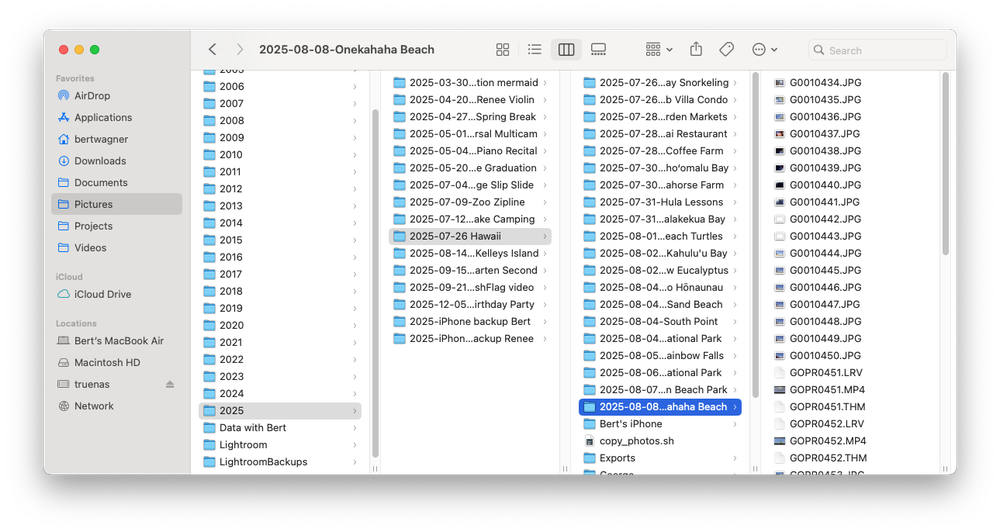 Screenshot of tree hierarchy